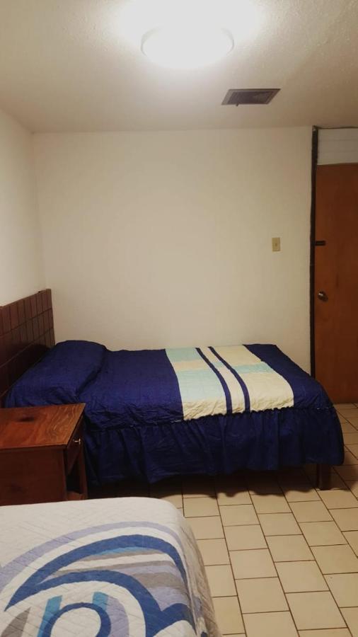 Hotel Centric Τσιχουάχουα Εξωτερικό φωτογραφία